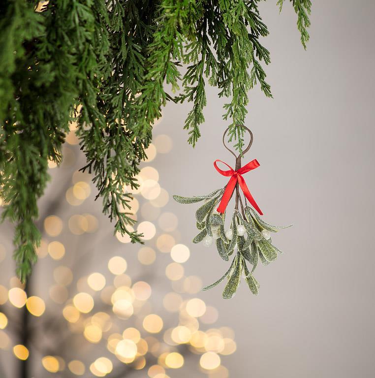 Small Mistletoe Cluster view 2